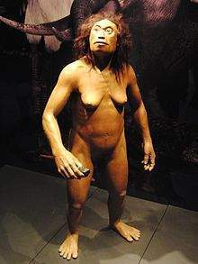 Homo floresiensis.jpg