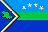 Bandera de Tucupita