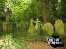 Cementerio de hogwarts.jpeg