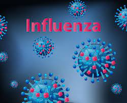 Influenza 2.jpg