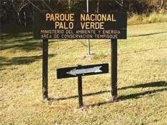 Parque Paloverde.jpg