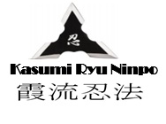 Kasumi Ryu Ninpo.jpg
