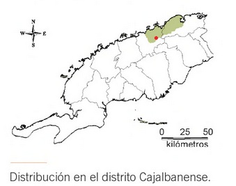 Distribución Coccoloba Coriacea.jpg