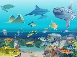 Ecosistema marino-1.jpeg
