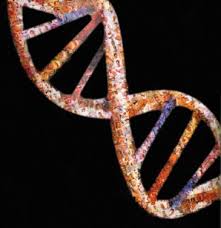 Genoma humano 1.jpeg