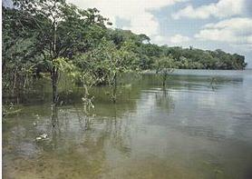 Río Caquetá.JPG