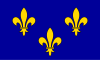 Bandera de Isla de Francia