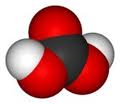 Acido carbonico.jpg