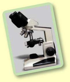 MicroscopeBinocular.jpg