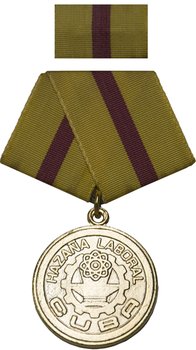 Medalla Hazaña Laboral.jpg