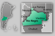 Ubicación de la provincia de Río Negro.