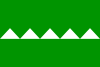 Bandera de Salinas