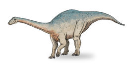 Riojasaurus ske.jpg