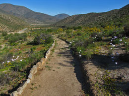 Reserva Nacional Las Chinchillas1.jpg