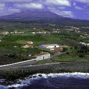 Paisaje viticola de la isla de Pico.jpg