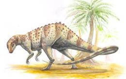 Scutellosaurus.jpg