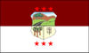 Bandera de Caaguazú