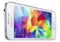 Samsung Galaxy S5 Mini.jpg