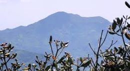 Pico Buna Vista.jpg