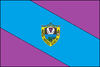 Bandera de Ametista do Sul