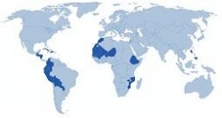 Mapa de Aecid.JPG