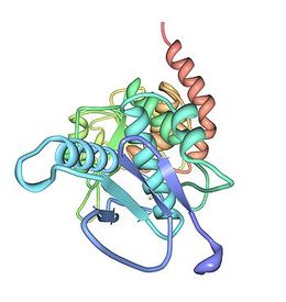 Proteina fosfatasa.jpg