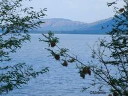 Lago Mburo.jpg