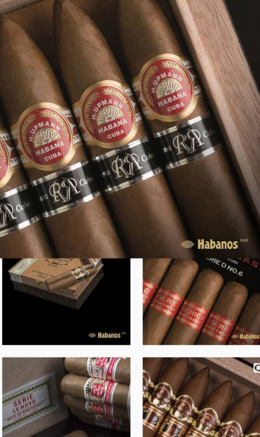 Habanos s a.png