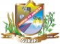 Escudo de Gurupi