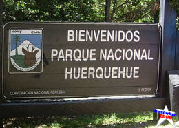 Parque nacional huerquehue 0.jpg