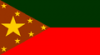 Bandera de Caucagua