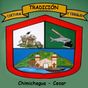 Escudo de Chimichagua