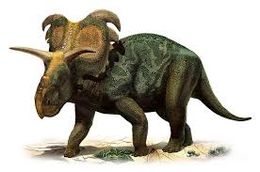 Medusaceratops.jpg