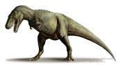 Gorgosaurus-libratus.jpg