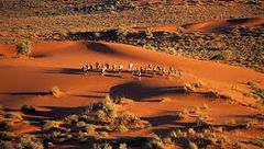 Desierto de Kalahari.jpg