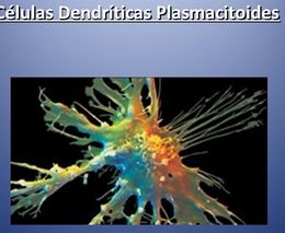Las-celulas-dendriticas-plasmocitoides.jpg