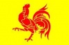 Bandera de Valonia
