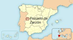 Ubicación de Pozuelo de Zarzón en España