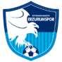 Escudo de Erzurum