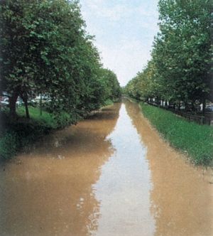 Vista del Canal.jpg