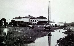Central-Santa-Rita 1913.jpg