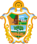 Escudo de Manaos