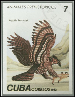 Aquila borrasi Cuban stamp.jpg