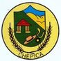 Escudo de Comuna de Chépica