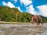 Montar Elefantes una de las atracciones de la Isla