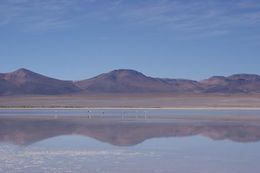 Laguna del Huasco1.JPG