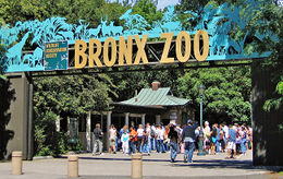 1-bronx-zoo-entrance 650.jpg