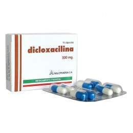 DICLOXACILINA GI 48bc71ec2519e.jpg