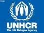 Escudo de Alto Comisionado de las Naciones Unidas para los Refugiados