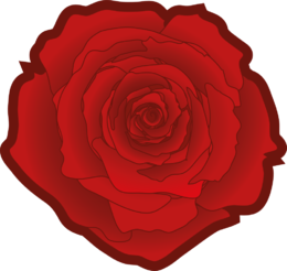 Red rose 02.png